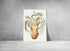 large velodona octopus illustration print wall art